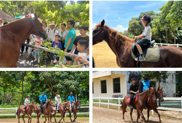 趣游盛夏，一路童行—2024年廣東博皓親子游   -10