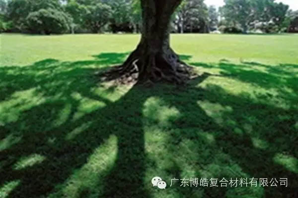 【博皓感悟】欲為大樹，莫與草爭-6